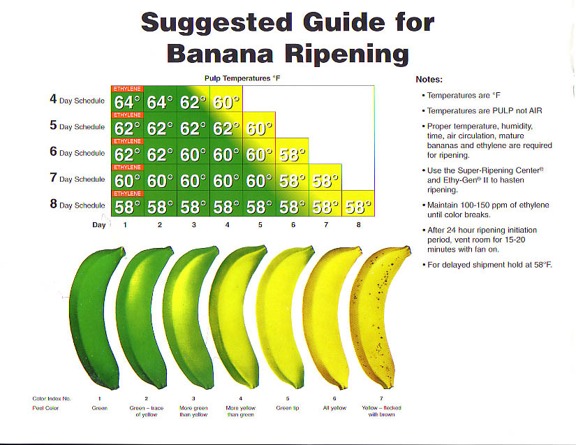 banana-color-chart