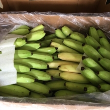 banana (1)